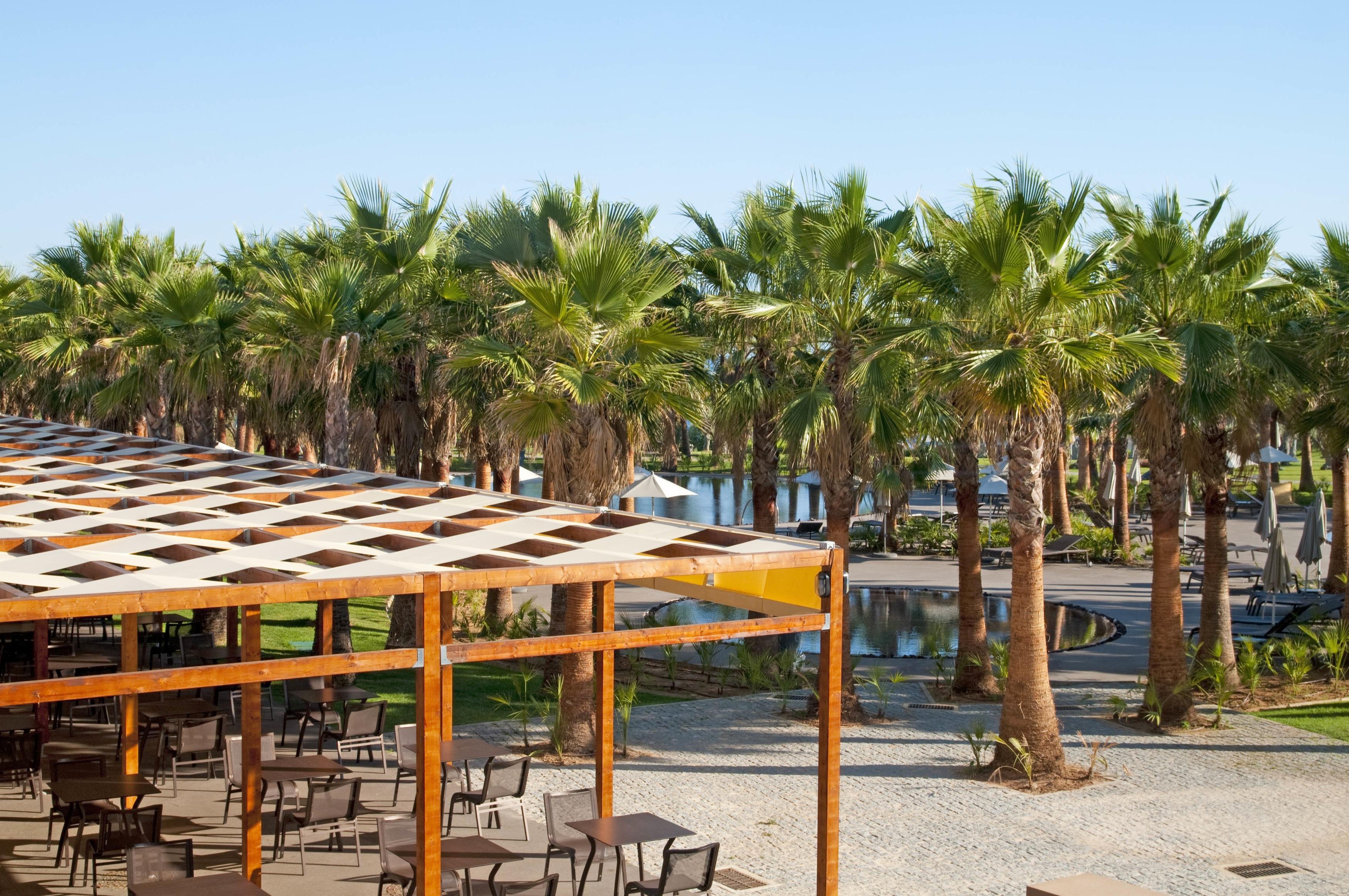 Kimpton Atlantico Algarve By Ihg Hotel Albufeira Ngoại thất bức ảnh Palm trees in the park