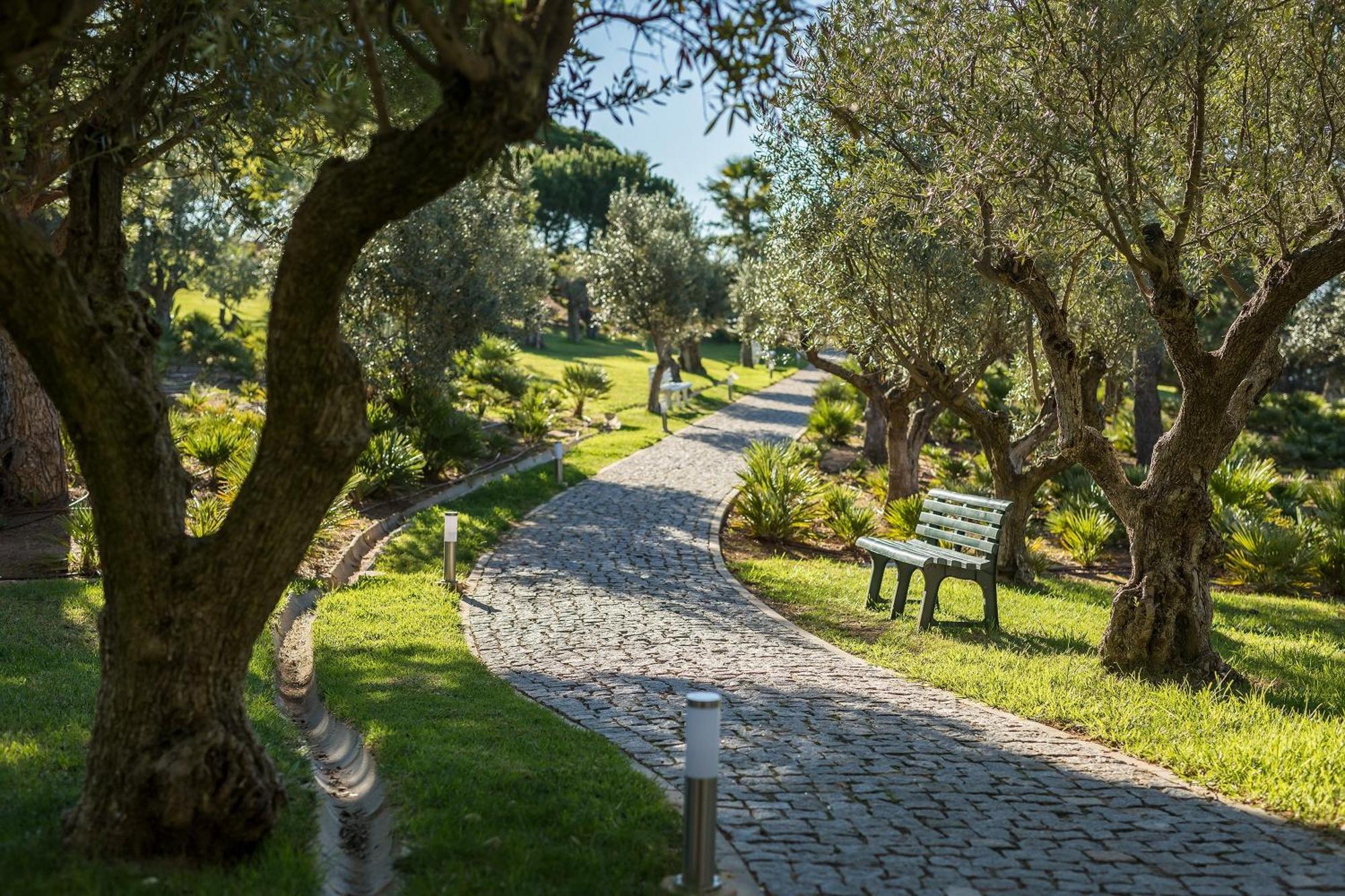 Kimpton Atlantico Algarve By Ihg Hotel Albufeira Ngoại thất bức ảnh Olive trees in the park